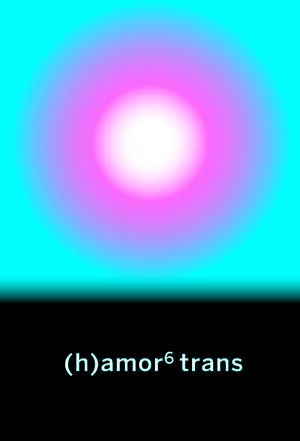 (H) AMOR 6 TRANS