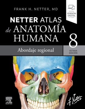 NETTER. ATLAS DE ANATOMÍA HUMANA. ABORDAJE REGIONAL 8ª ED. 2023