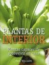PLANTAS DE INTERIOR. PLANTAS CAPACES DE SOBREVIVIR EN CASA