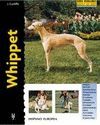 WHIPPET. SERIE EXCELLENCE
