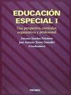 EDUCACION ESPECIAL I PERSPECTIVA CURRICULAR, ORGANIZATIVA Y PROFESIONA