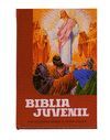 BIBLIA JUVENIL 1