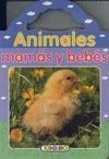 ANIMALES MAMAS Y BEBES