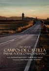 CIEN AÑOS DE CAMPOS DE CASTILLA