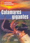 CALAMARES GIGANTES. LIBRO Y DVD ( VIDEO Y AUDIO ) NIVEL C1