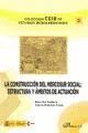 LA CONSTRUCCION DEL MERCOSUR SOCIAL: ESTRUCTURA Y AMBITOS DE ACTUACION