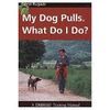 WHAT DO I DO WHEN MY DOG PULLS ? DVD